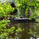 ZenCabin - Luxe en Wellness in de natuur Hulshout - Foto 7