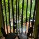 COTTAGE BY RANMUDUELLA (WATER FRONT), Labugama (foto 10)