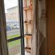 Apartamento Rustico, São Carlos - Foto 2