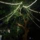 Red Mount Homestay, Kottakupam - 写真 8