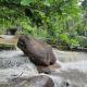 Nature stay - with private water stream and & Pool, Aldūr - 照片 2