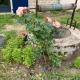 Les 9 Hirondelles, Charrin (Foto 3)