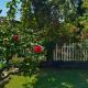 Honeydew Suites By Goaround Homes- Vagator, North Goa, Vagator - Fotografie 6