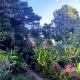 Maya Mountain Lodge, San Ignacio (foto 5)