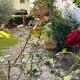 La Casa di Gemma B&B, Villa Vomano (fotografie 4)