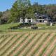 Vineyard House at Oak & Vine, Paso Robles (fotografie 3)