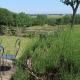 Chambre Taru, Chauray (foto 6)