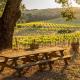 Dunning Ranch Guest Deluxe, Paso Robles (fotografie 3)