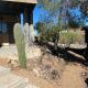 Desert Delight Tucson - Fotografie 7