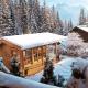 Chalet in Kitzbühel Alps near Ski Slopes Waidring - Photo 8