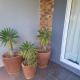 Cosy - Best Rest Potch Potchefstroom - Foto 1