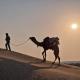 Desert Vista Camp Jaisalmer, ジャイサルメール - 写真 10