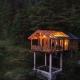 Glass Tree House Sainj, Sainj - Kuva 9
