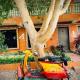 Van Vagado Resort, Bhanadra - 写真 9