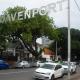 Beechwood B&B Durban - Photo 4