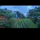 Spirit of the Wild Eco Village, Palakkad - Foto 8