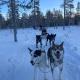 Sæteråsen Hytter & Camping Trysil, Трюсиль (фото 6)