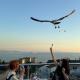 Joyway Hotels Istanbul Sultanahmet, Istanbul - Foto 7