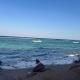 Stunning 2-Bedroom Beachfront Chalet with Private Beach Access in Dahab, Dahab - Photo 9