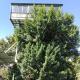 Casa árbol, Aguas Zarcas (foto 4)