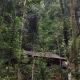 Cabin Glamping, Indarung (foto 9)