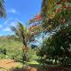 flamboyant House, Fernando de Noronha (fotografie 5)