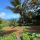 flamboyant House, Fernando de Noronha (fotografie 4)