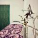 Guesthouse RAMAJ, Perondi (zdjęcie 6)