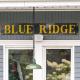 NEW King Bed, Suite, Downtown BR, Southern Charm Caboose Blue Ridge - Fotografie 6