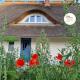 Reetsnacker - Ferienhaus mit Kamin, Sauna und Whirpool für 8 Personen, Pepelow - Foto 1