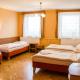 Hotel U Jezera, Velký Osek (foto 5)
