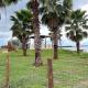 Rancho dos Marques in Guaraci-SP, Guaraci - Fotografie 7