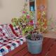 Latief appartement, Tamanredjo (foto 9)