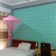 RS Green Barathi, Kilinochchi (photo 2)
