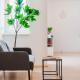 feworld living - Linz Wasserwald, Linec (fotografie 3)