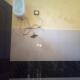 superstar residency, Yelagiri - Fotografie 10