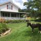 Mohican Farmhouse, Pond, and Animals, Perrysville