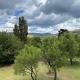 Peach Orchard - Villa 169, Clarens (zdjęcie 7)