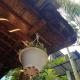 Cane Homestay, Ella