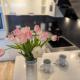 Ferienwohnung im Haus Nordland Nordland, App 97, Westerland - Foto 1