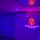 Secret & Jacuzzi, Vienne (fotografie 6)