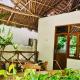 Bahati Villa, Kiwengwa (foto 2)