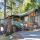 Little Cabin in the Woods Wawona - Photo 1