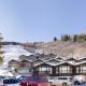 Shadow Mountain Unit 12, Spacious Ski-In, Ski-Out Townhouse with Great Views & Gas Fireplace Aspen - Fotografie 10