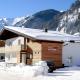 Chalet Saliterer Grossarl - Foto 1