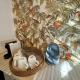 Décembre House - 24hrs Self Late Check-in Shared Home-style Accommodation in Belmont Central, Perth