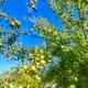 Rose Homey Home, Glenorchy (foto 2)