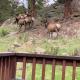 Lux 3BR Home - Wildlife & Views near RMNP, Estes Park (fotografie 6)