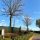 Casa del vigneto, Castelvetro di Modena (foto 5)