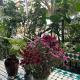 The Highland House, Buôn Ma Thuột (foto 9)